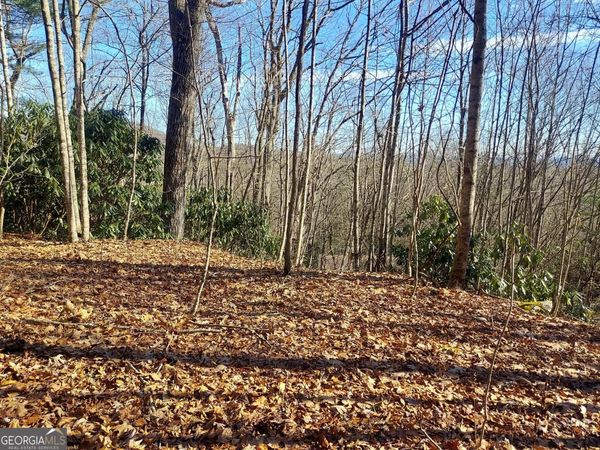 0 LOT 14 & 15 Honey Bear, Dillard, GA 30537