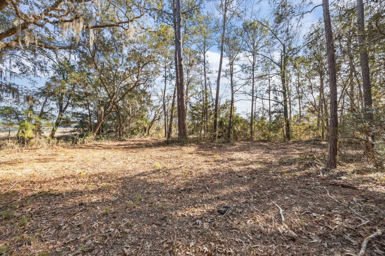 0 Summit Plantation Road Photo 10