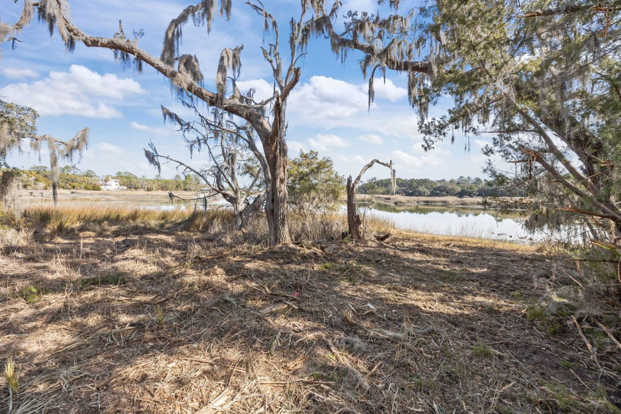 0 Summit Plantation Road Photo 12