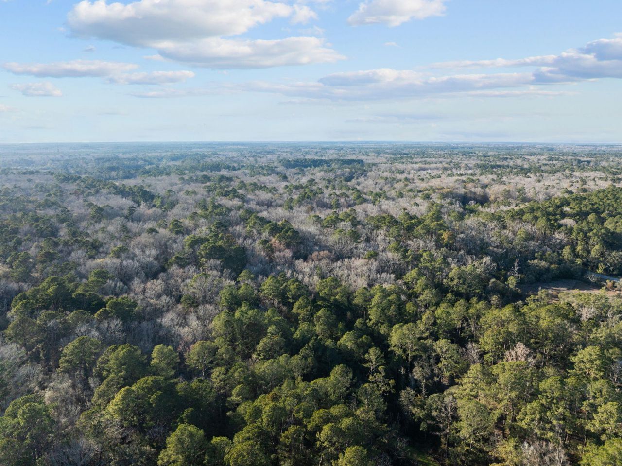 0 Summit Plantation Road Photo 5