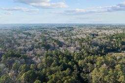 0 Summit Plantation Road photo 4