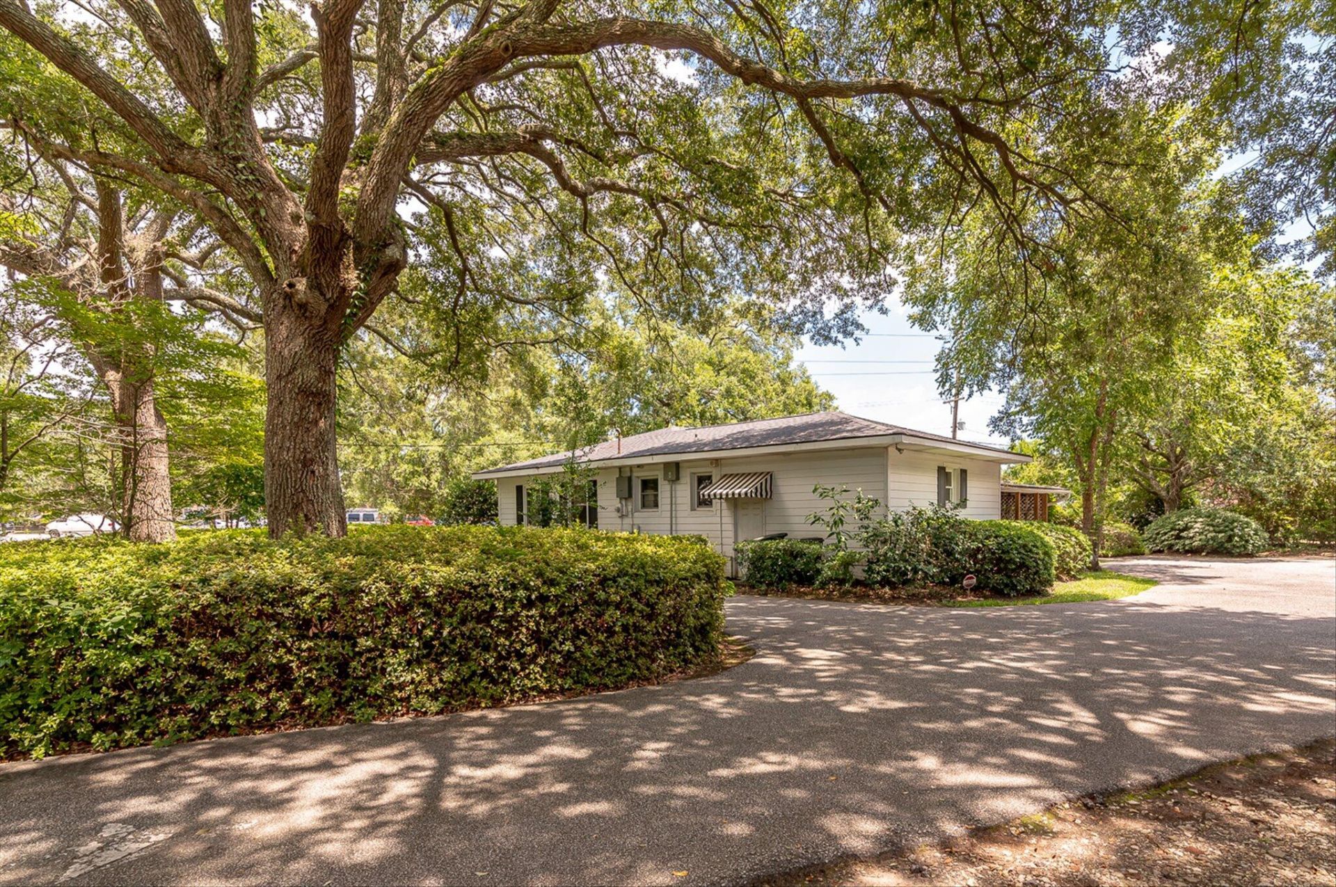 515 Folly Road Photo 6