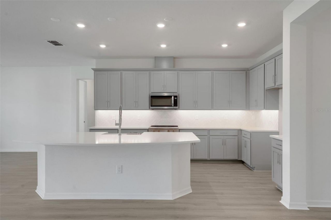 17417 Valleywood Parkway, Land O Lakes, FL 34638 Photo