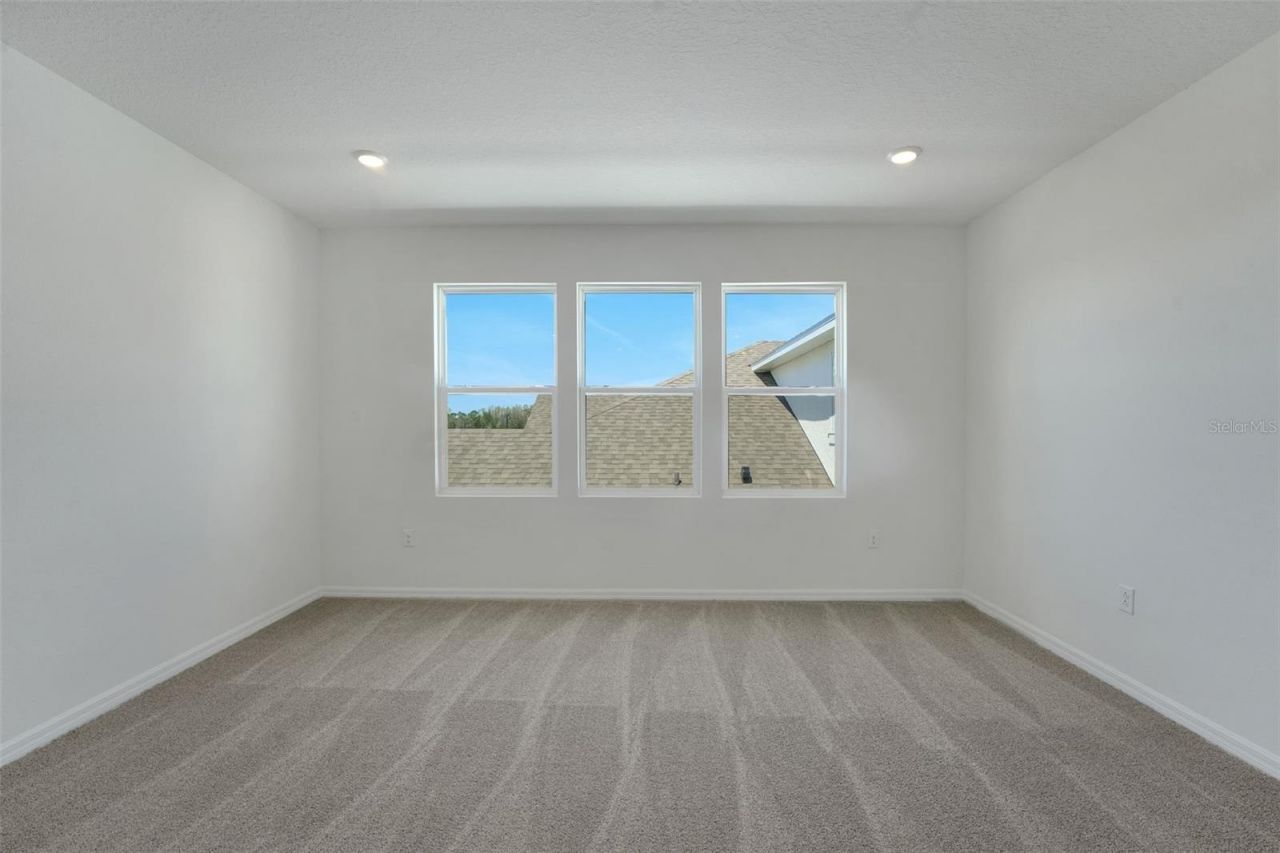 17417 Valleywood Parkway, Land O Lakes, FL 34638 Photo