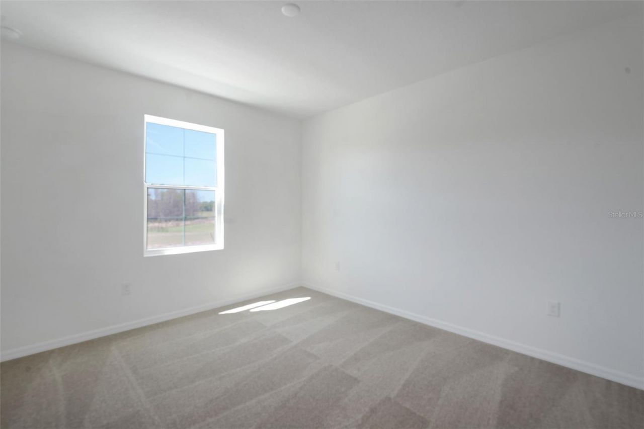 17417 Valleywood Parkway, Land O Lakes, FL 34638 Photo