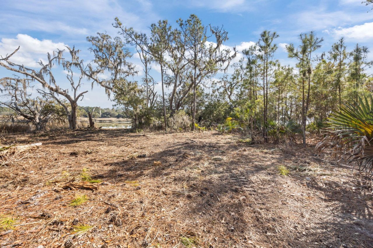 04 Summit Plantation Road Photo 10