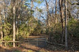 04 Summit Plantation Road photo 4