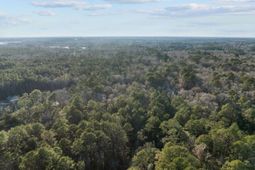 04 Summit Plantation Road photo 4