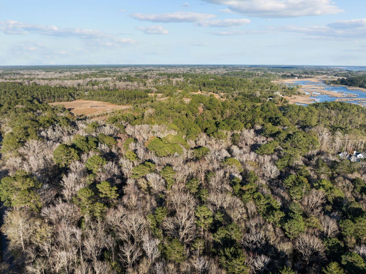 04 Summit Plantation Road Photo 5