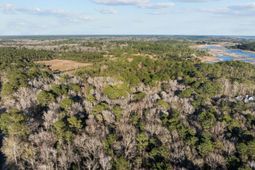 04 Summit Plantation Road photo 4