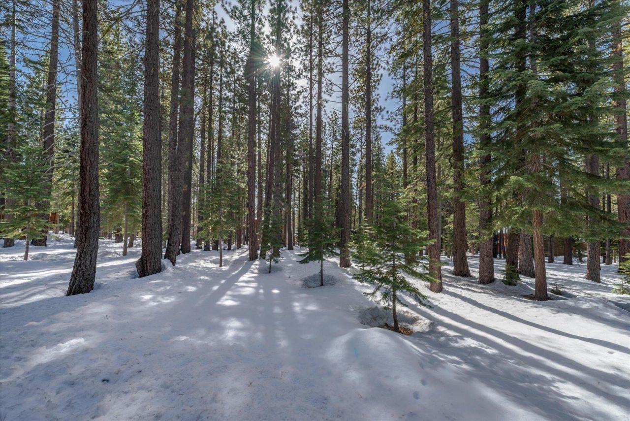 13300 Muhlebach Way, Truckee, CA 96161 Photo