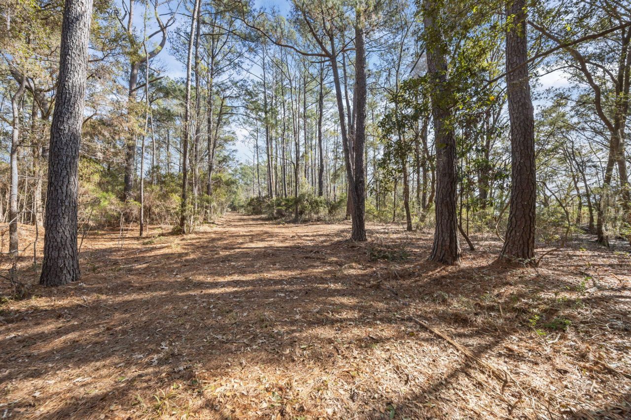 03 Summit Plantation Road Photo 9