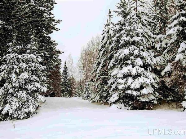 15169 Bellaire Street, Baraga, MI 49908