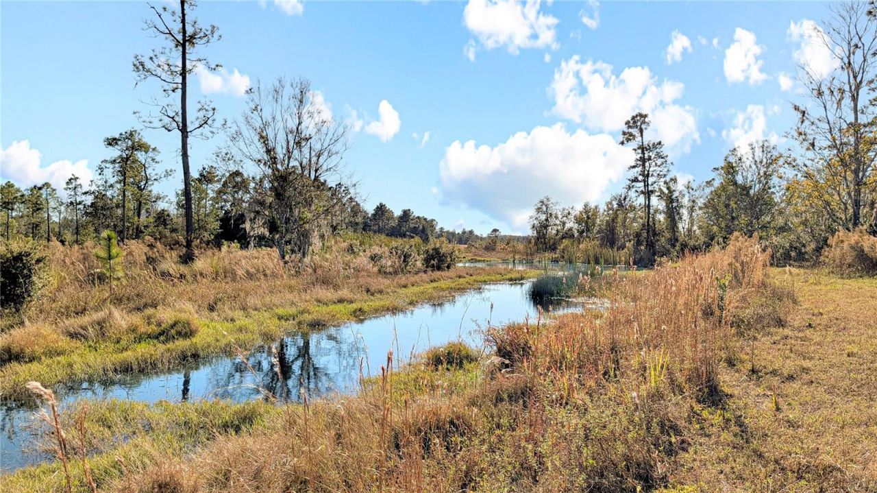 23545 Bishop Avenue, Christmas, FL 32709 Photo