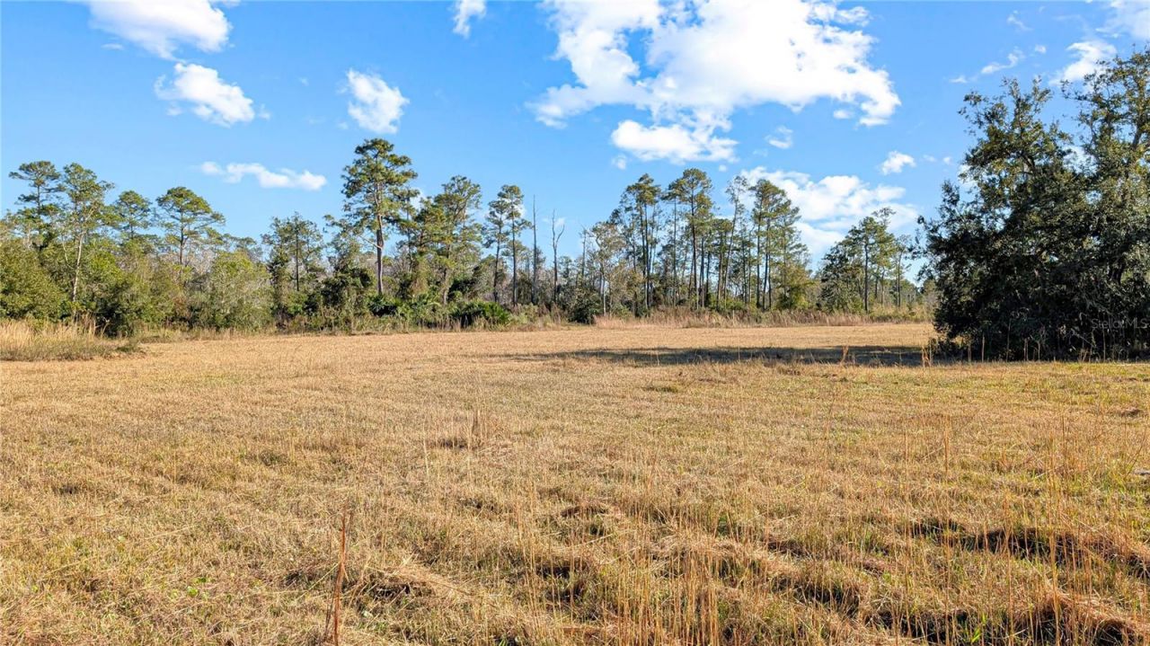 23545 Bishop Avenue, Christmas, FL 32709 Photo