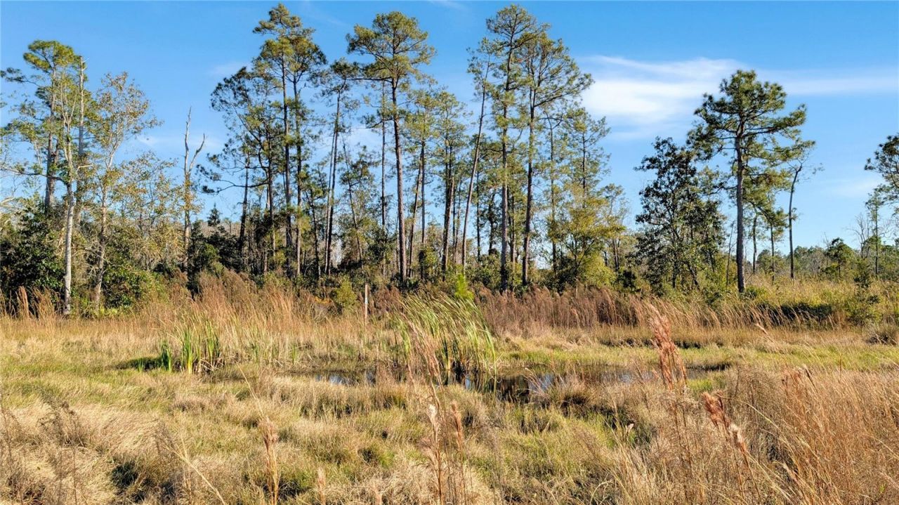 23545 Bishop Avenue, Christmas, FL 32709 Photo