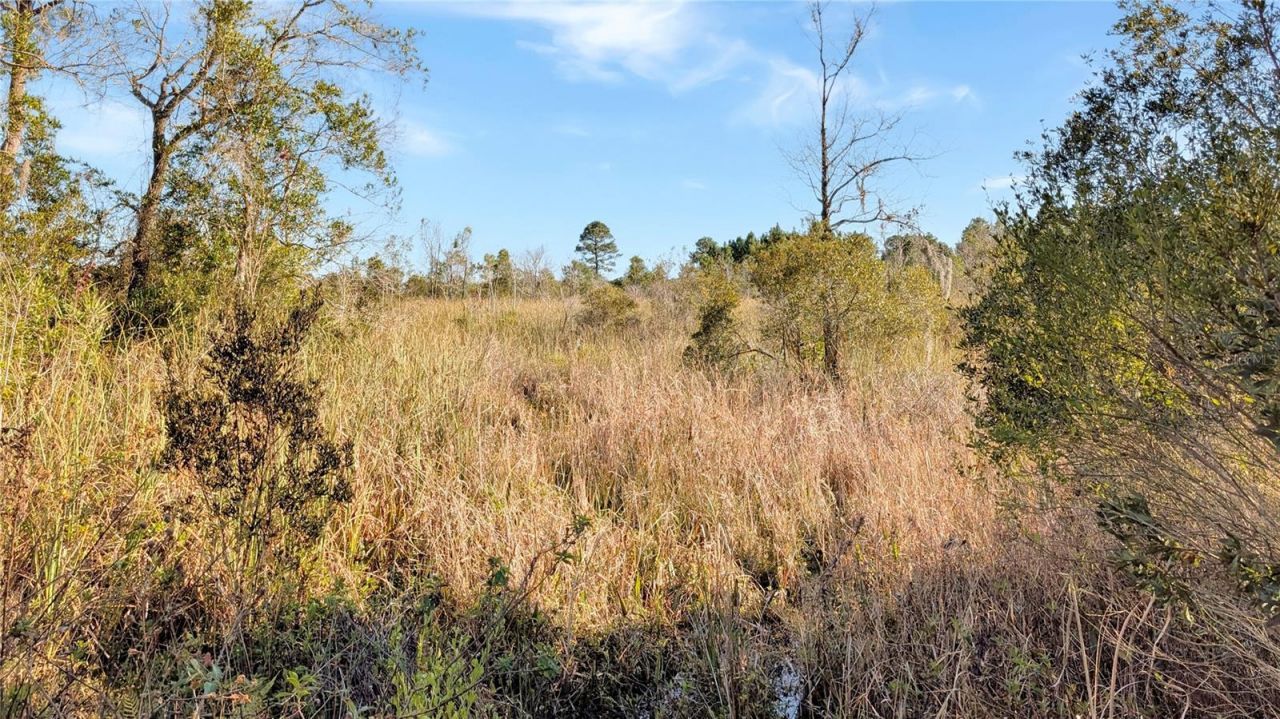 23545 Bishop Avenue, Christmas, FL 32709 Photo