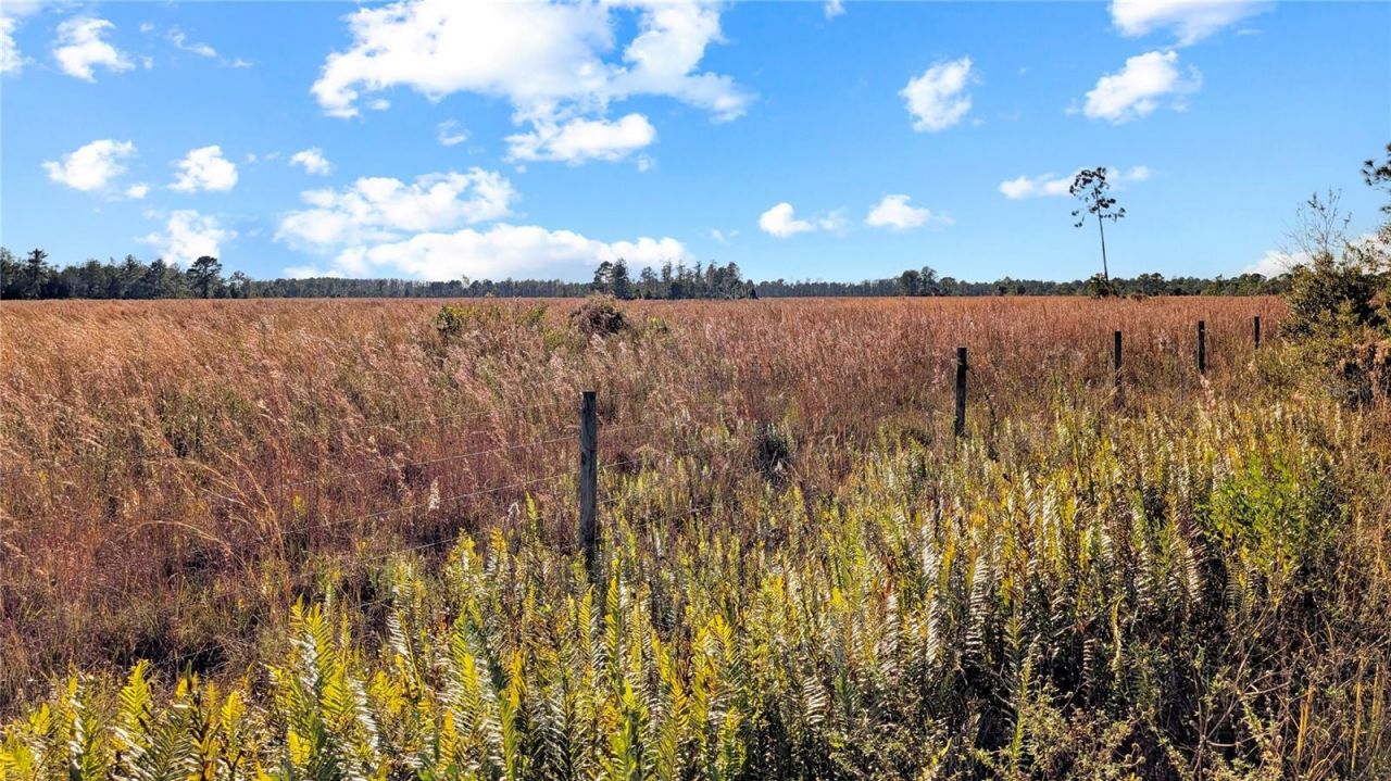 23545 Bishop Avenue, Christmas, FL 32709 Photo