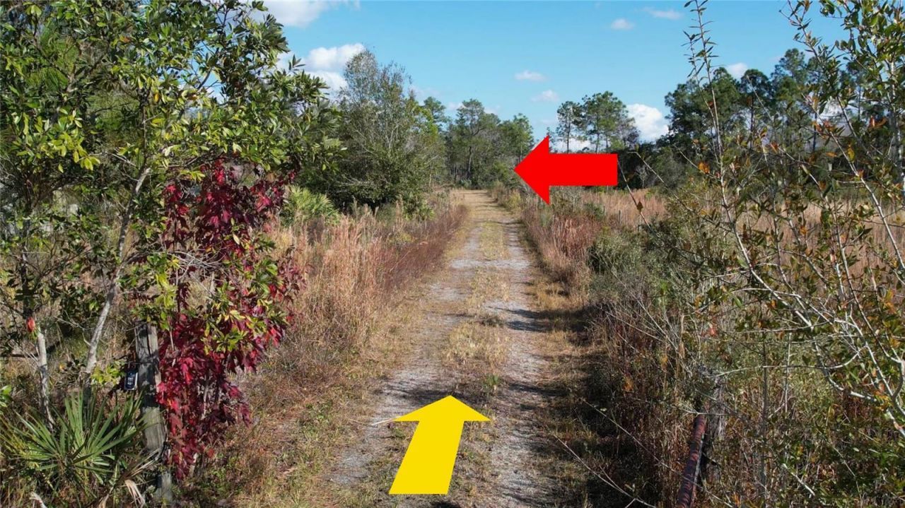 23545 Bishop Avenue, Christmas, FL 32709 Photo