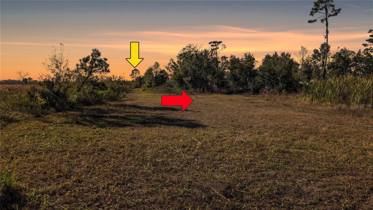 23545 Bishop Avenue, Christmas, FL 32709 Photo