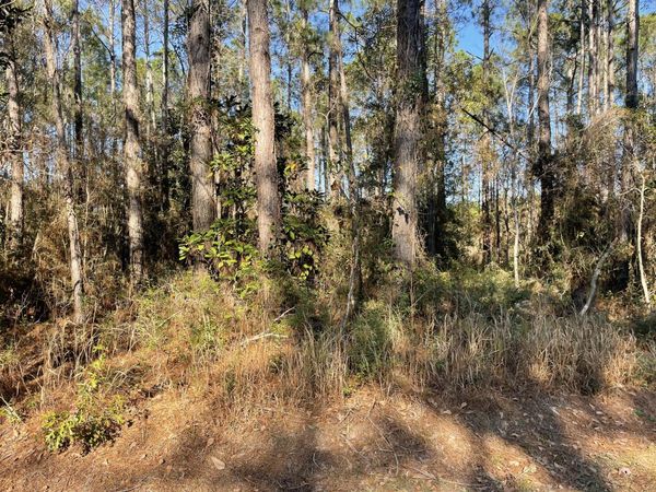 TBD W Hinds, Bay St. Louis, MS 39520