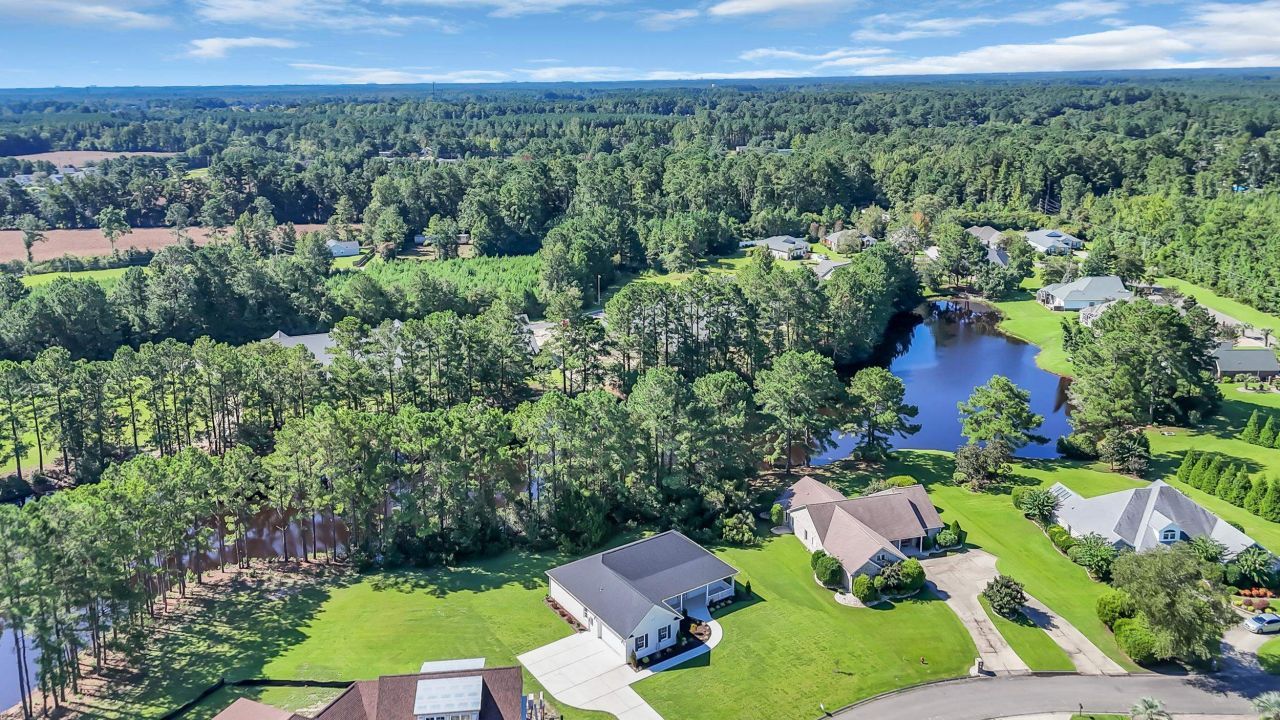 1151 Bear Lake Dr. Photo 28