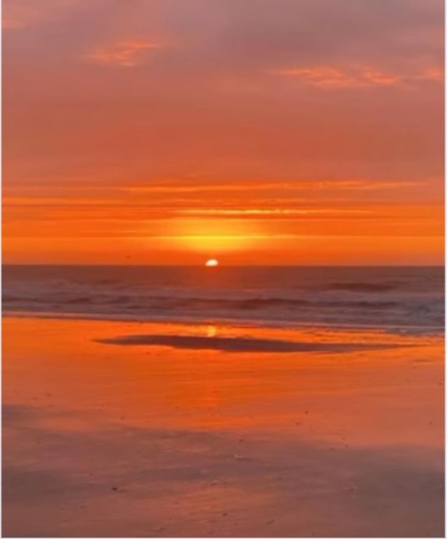 214 Maison Dr. Photo 36