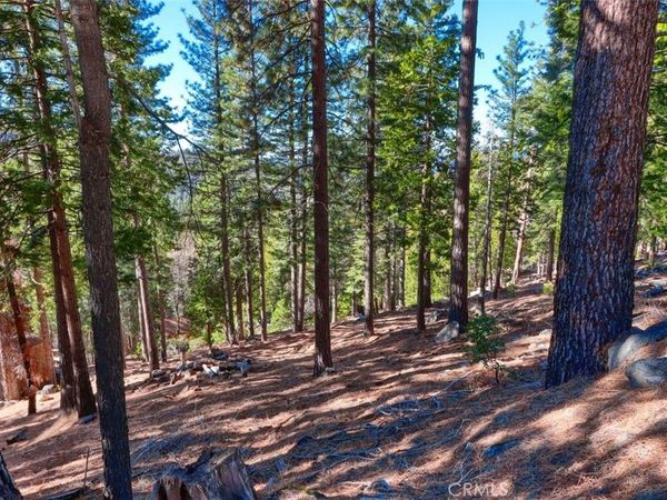 7349 & 7473 Yosemite Park Way, Yosemite, CA 95389