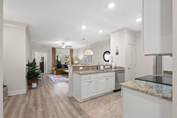 81 Delray Dr. photo 4