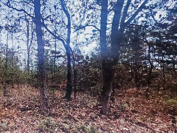 0 Sweetwater Church Road, Dawsonville, GA 30534