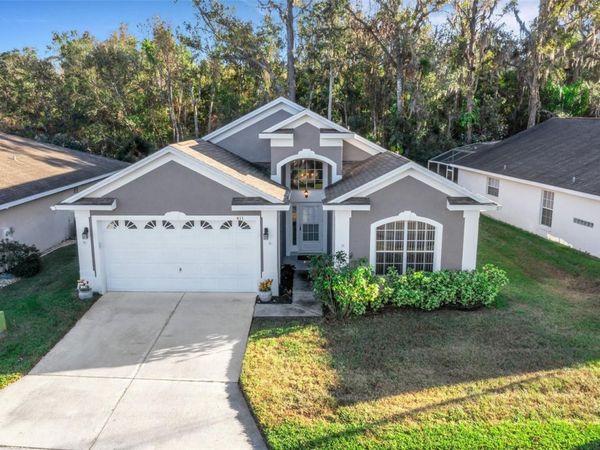 411 RIDGE VIEW DRIVE, DAVENPORT, FL 33837