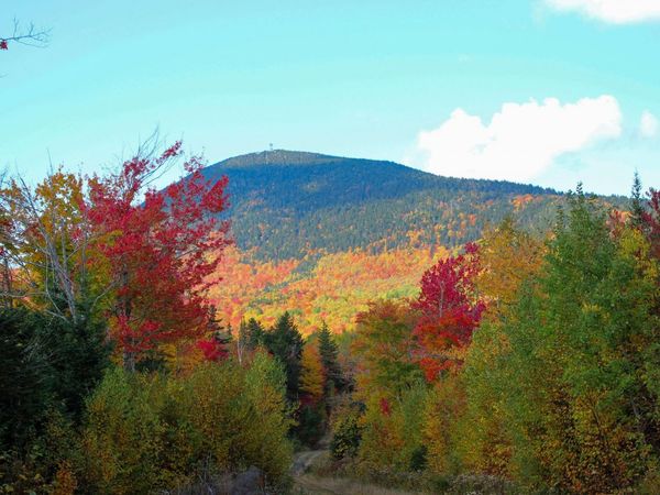 LOT A Taylor Woods Road, Temple, ME 04984