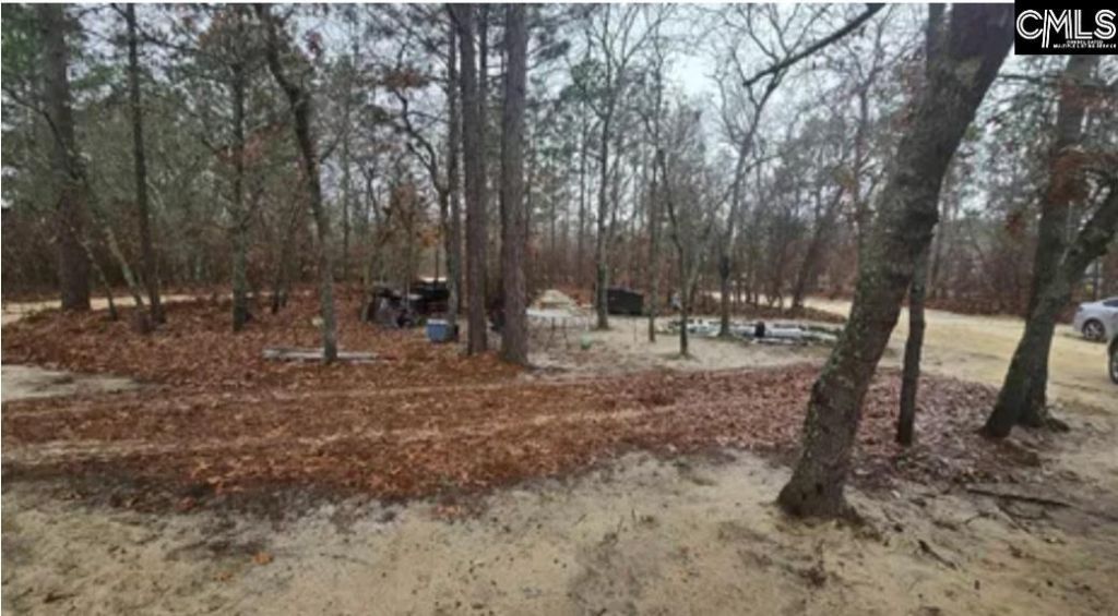 165 Landfill Lane Photo 5