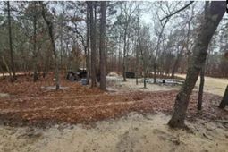 165 Landfill Lane photo 4