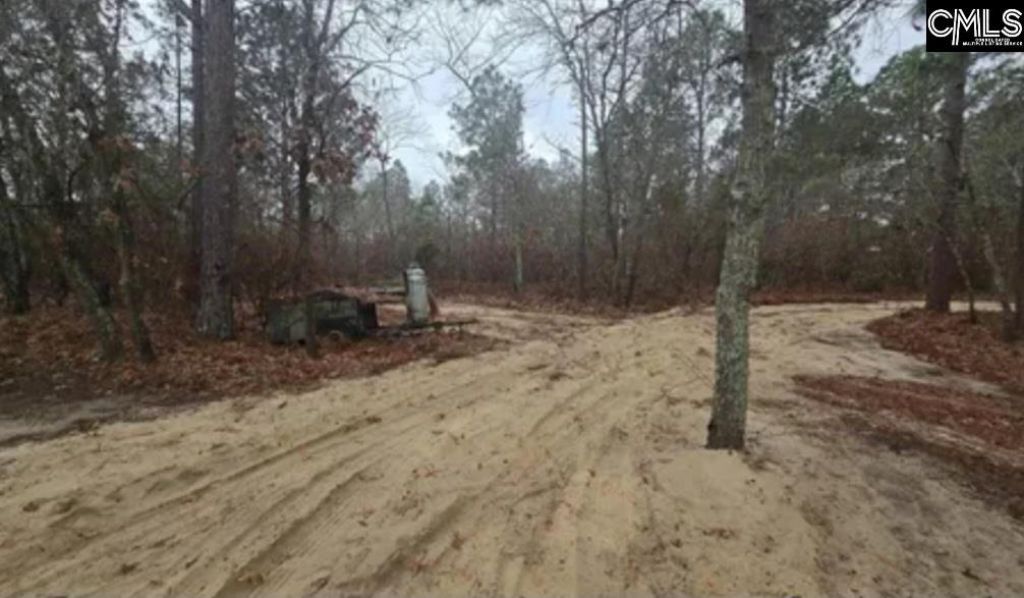 165 Landfill Lane Photo 7