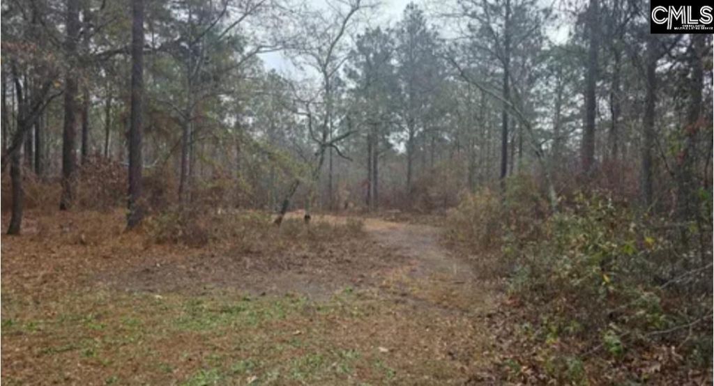 165 Landfill Lane Photo 8