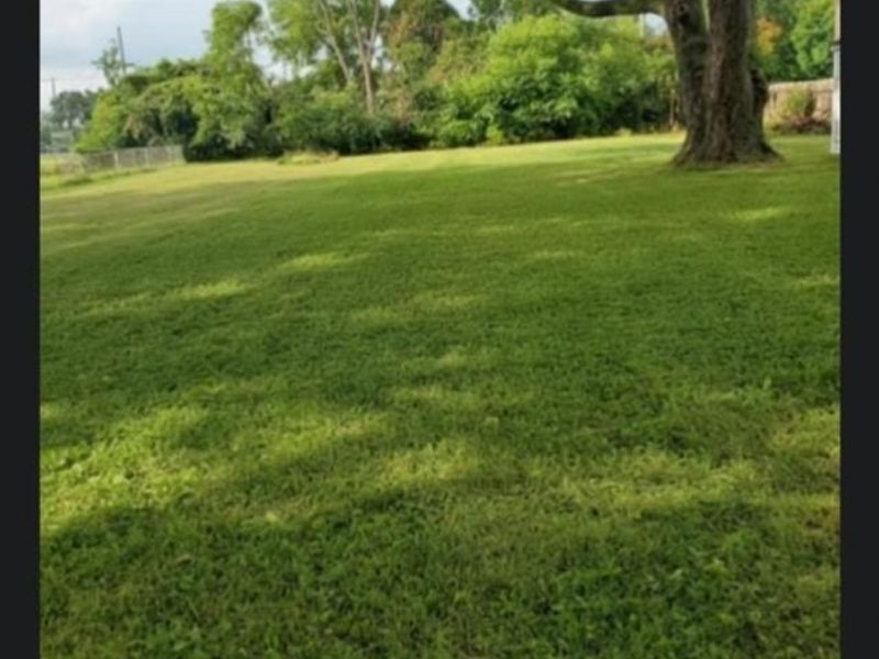 1201 Maple Street, Troy, OH 45373 Photo 10