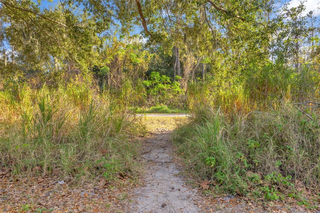 906 Allendale Lane, Oakland, FL 34787 Photo