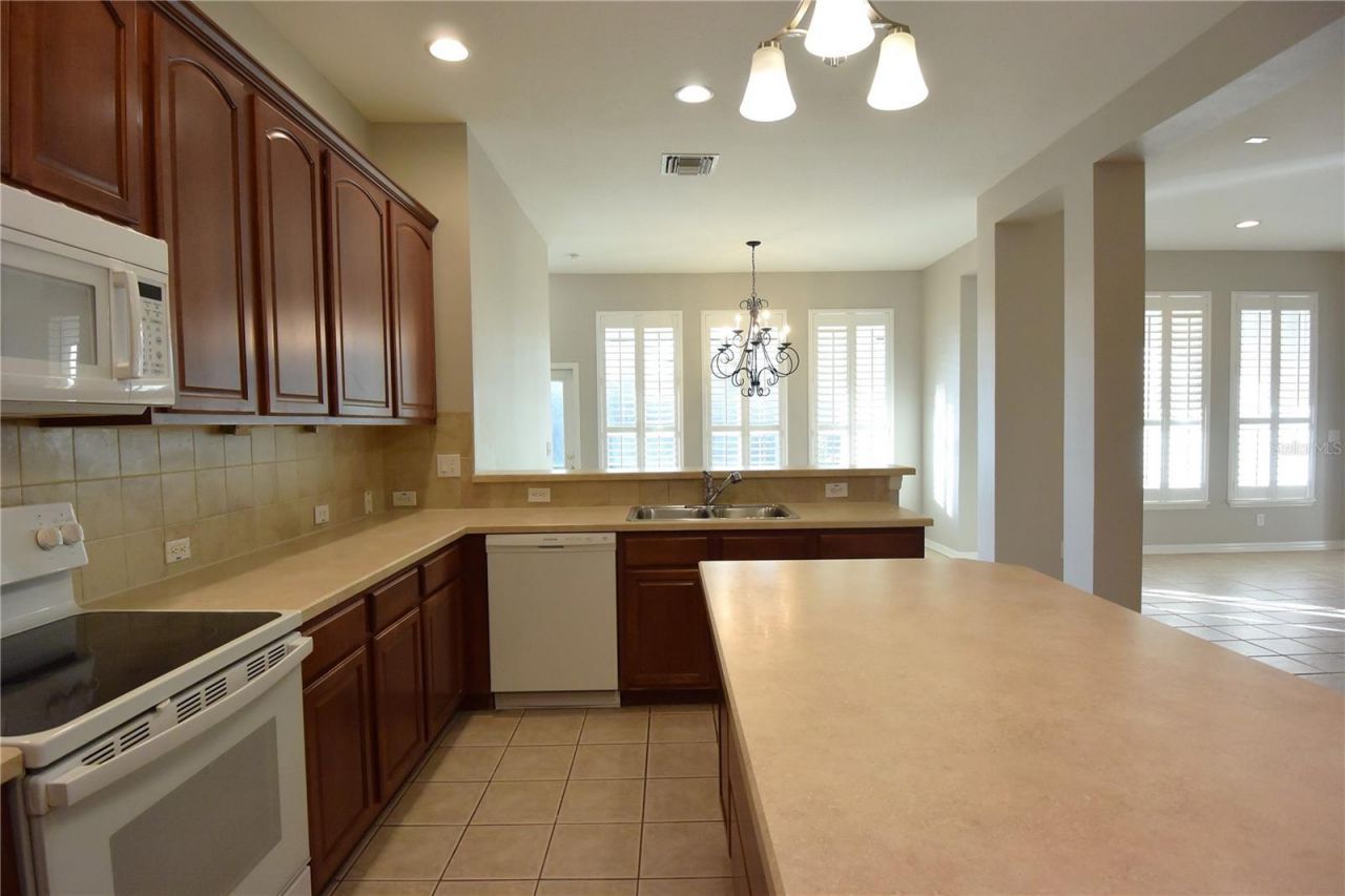 7015 Cardinalwood Lane, Land O Lakes, FL 34637 Photo