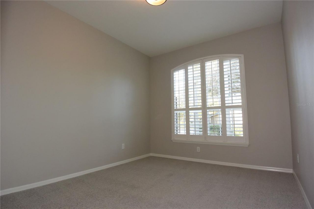 7015 Cardinalwood Lane, Land O Lakes, FL 34637 Photo