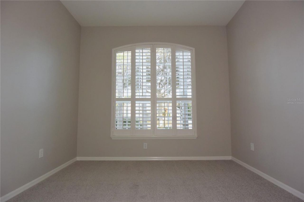 7015 Cardinalwood Lane, Land O Lakes, FL 34637 Photo