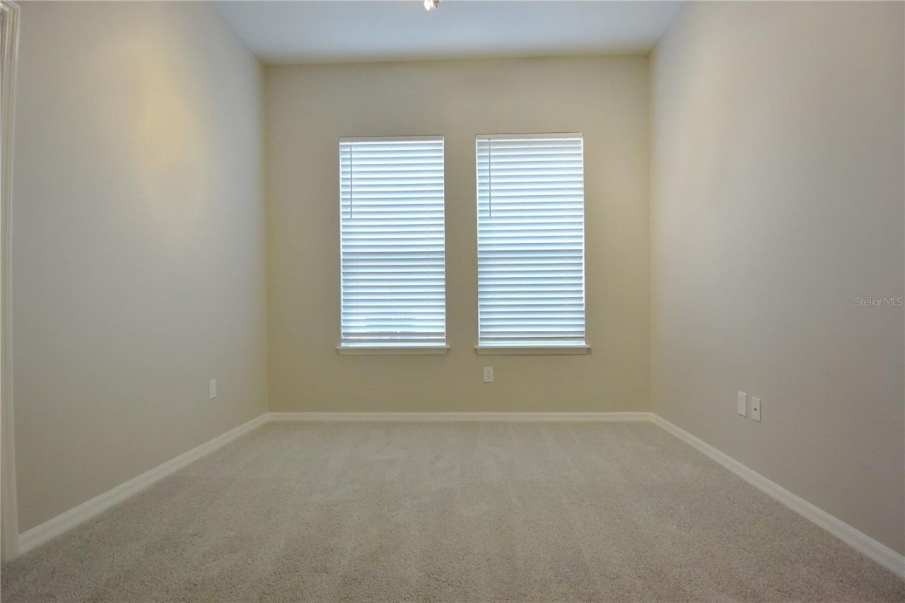 7015 Cardinalwood Lane, Land O Lakes, FL 34637 Photo