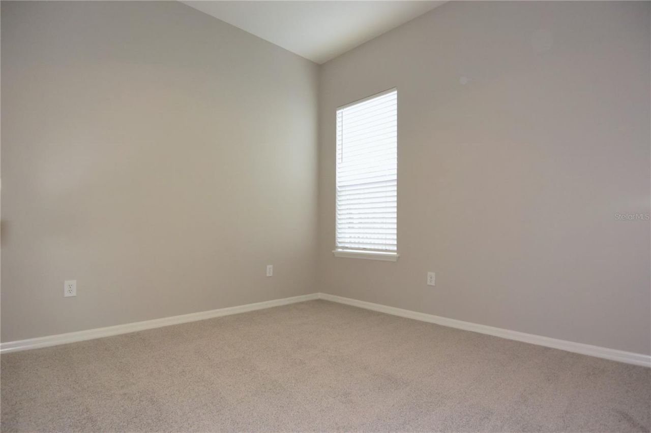 7015 Cardinalwood Lane, Land O Lakes, FL 34637 Photo