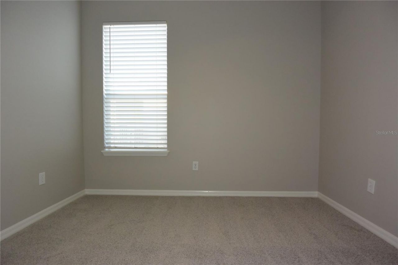 7015 Cardinalwood Lane, Land O Lakes, FL 34637 Photo