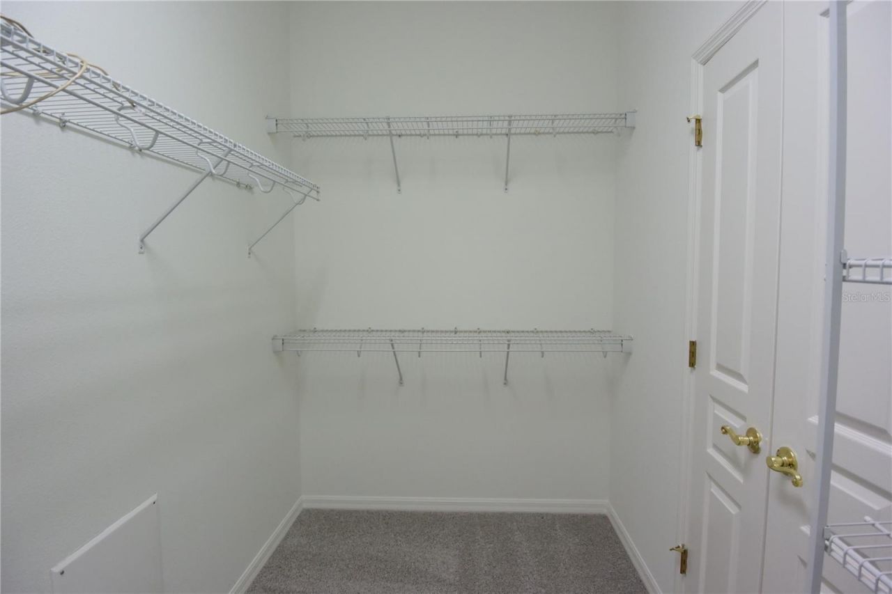 7015 Cardinalwood Lane, Land O Lakes, FL 34637 Photo