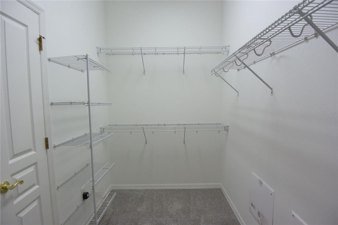 7015 Cardinalwood Lane, Land O Lakes, FL 34637 Photo