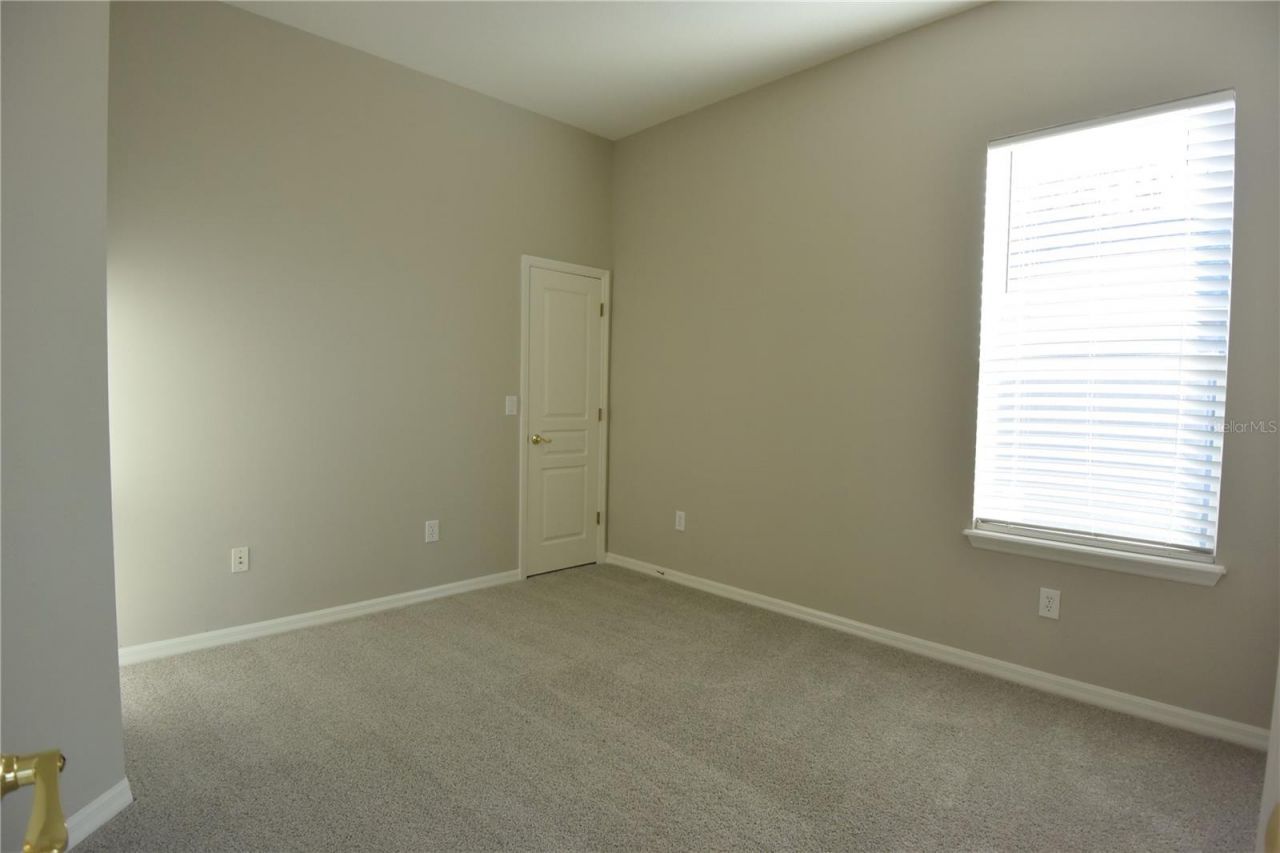 7015 Cardinalwood Lane, Land O Lakes, FL 34637 Photo