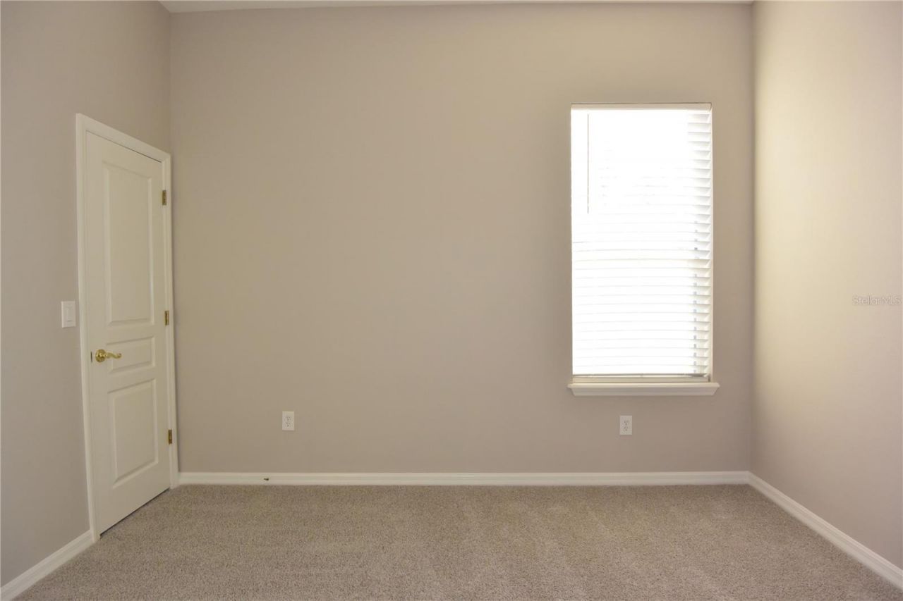 7015 Cardinalwood Lane, Land O Lakes, FL 34637 Photo