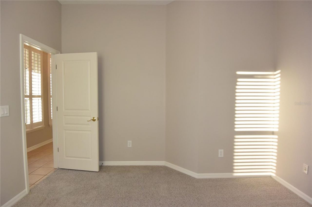 7015 Cardinalwood Lane, Land O Lakes, FL 34637 Photo