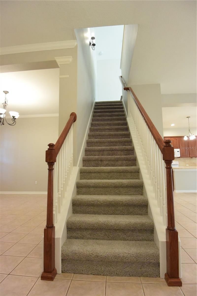 7015 Cardinalwood Lane, Land O Lakes, FL 34637 Photo